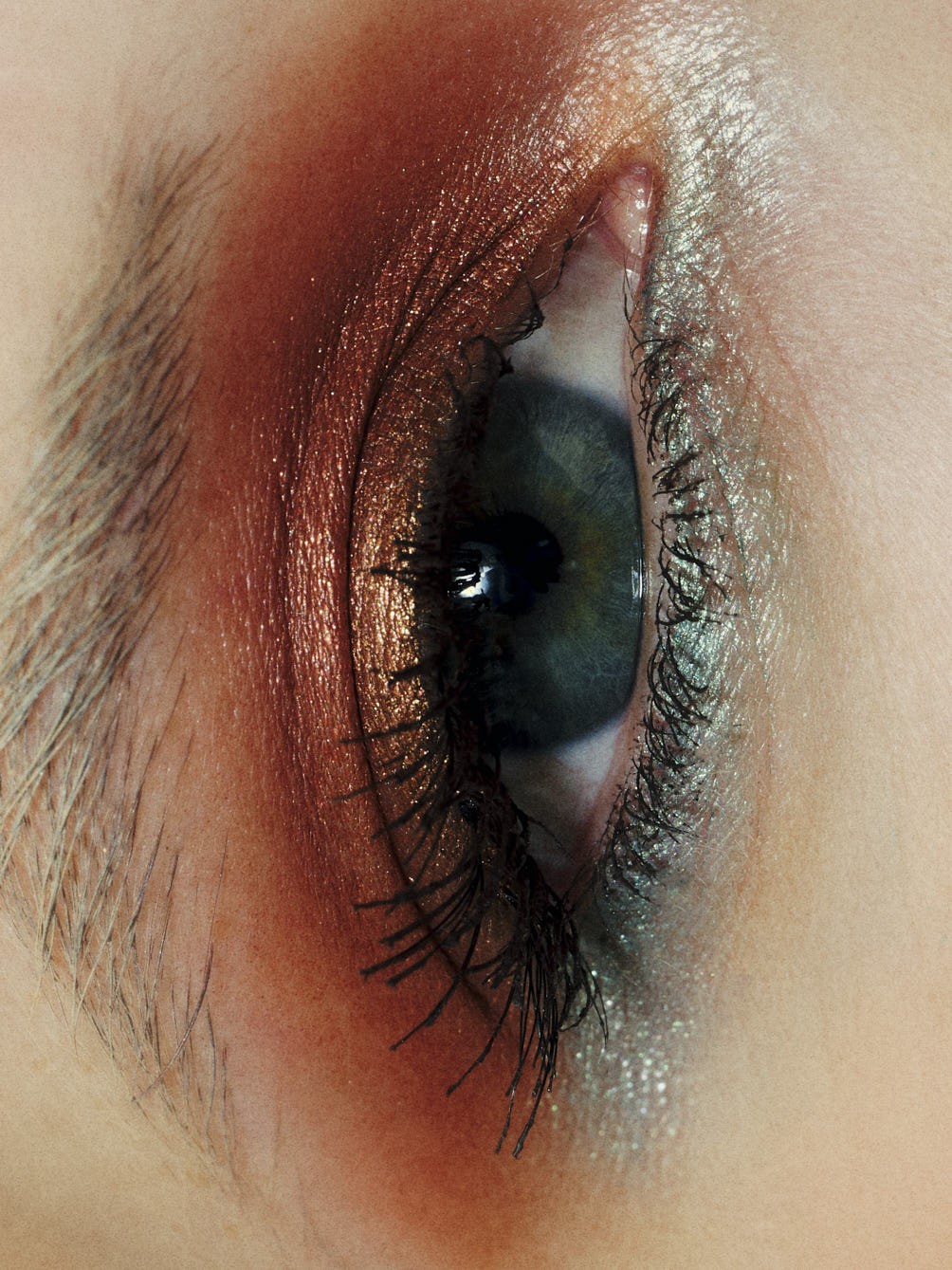 amica_0715-1.jpg