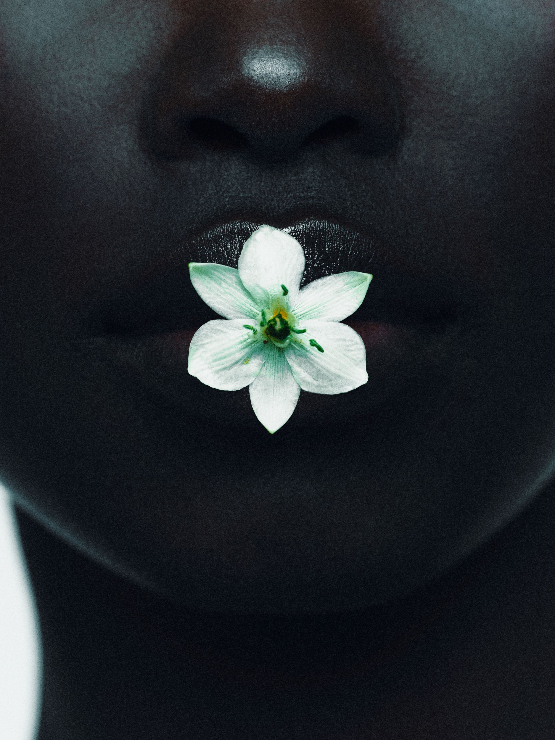 beau_magazine_102023_14283-1.jpg
