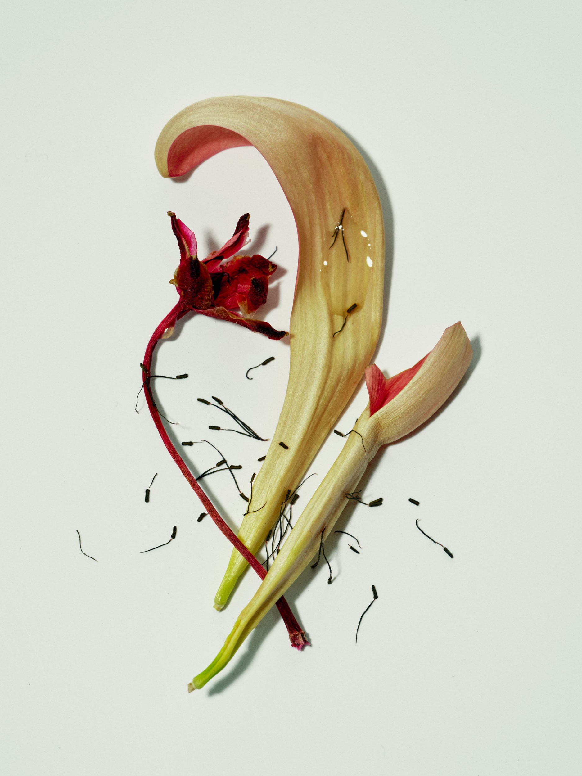 beau_magazine_102023_12082.jpg