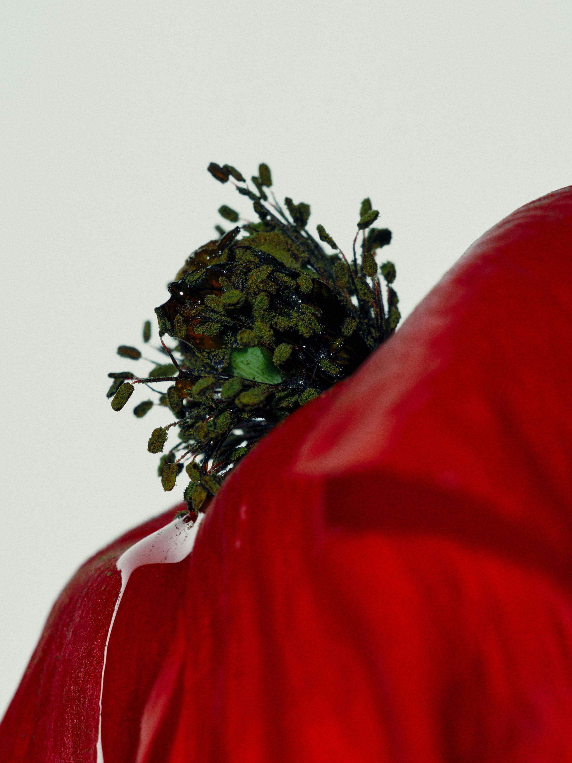 beau_magazine_102023_186.jpg