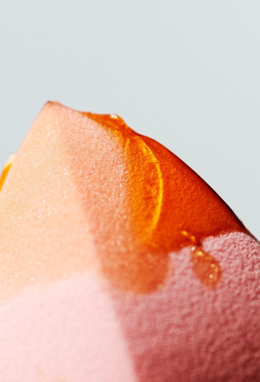 tulip