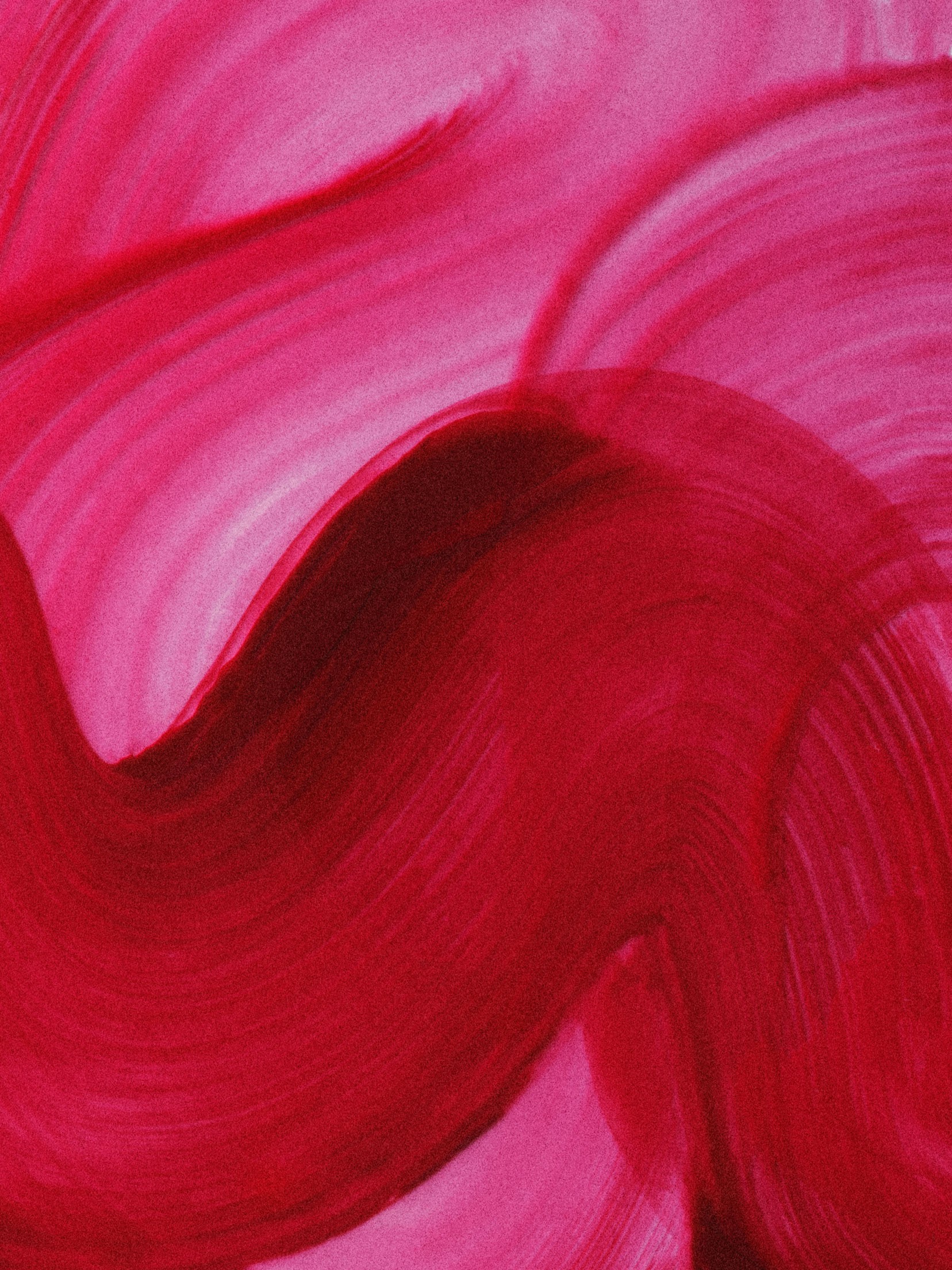 rouge_helene_020623_9766.jpg
