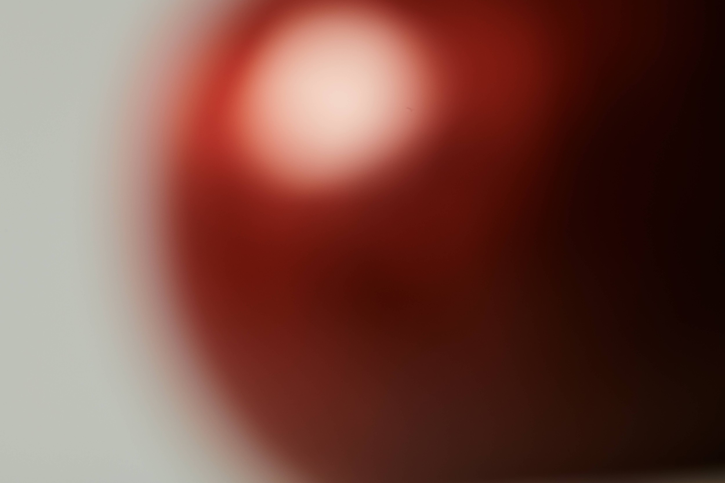 unprint_240322_zoe_kovacs_10_0001.jpg