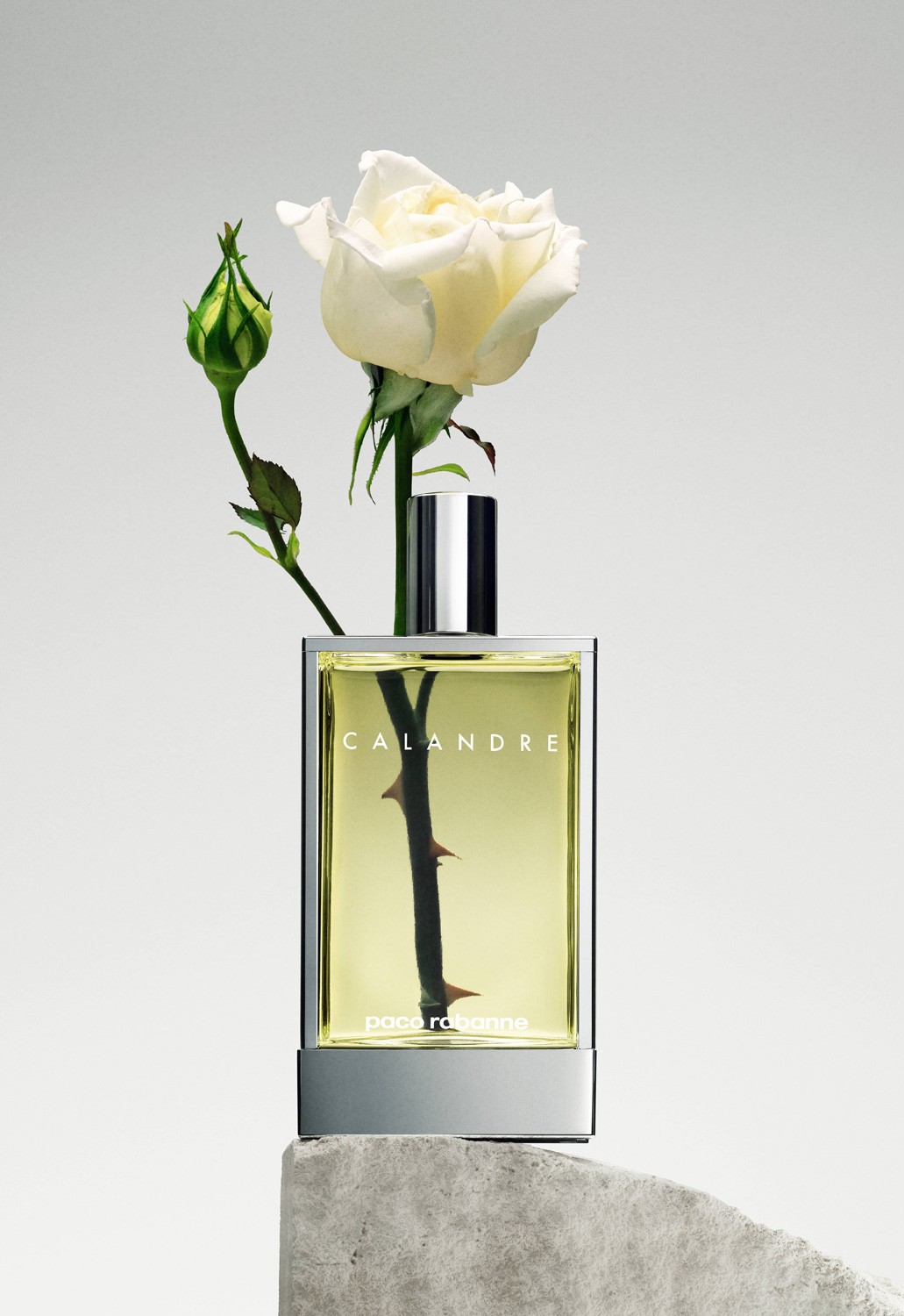 lrrabanne-calandre_rose_b_full.jpg
