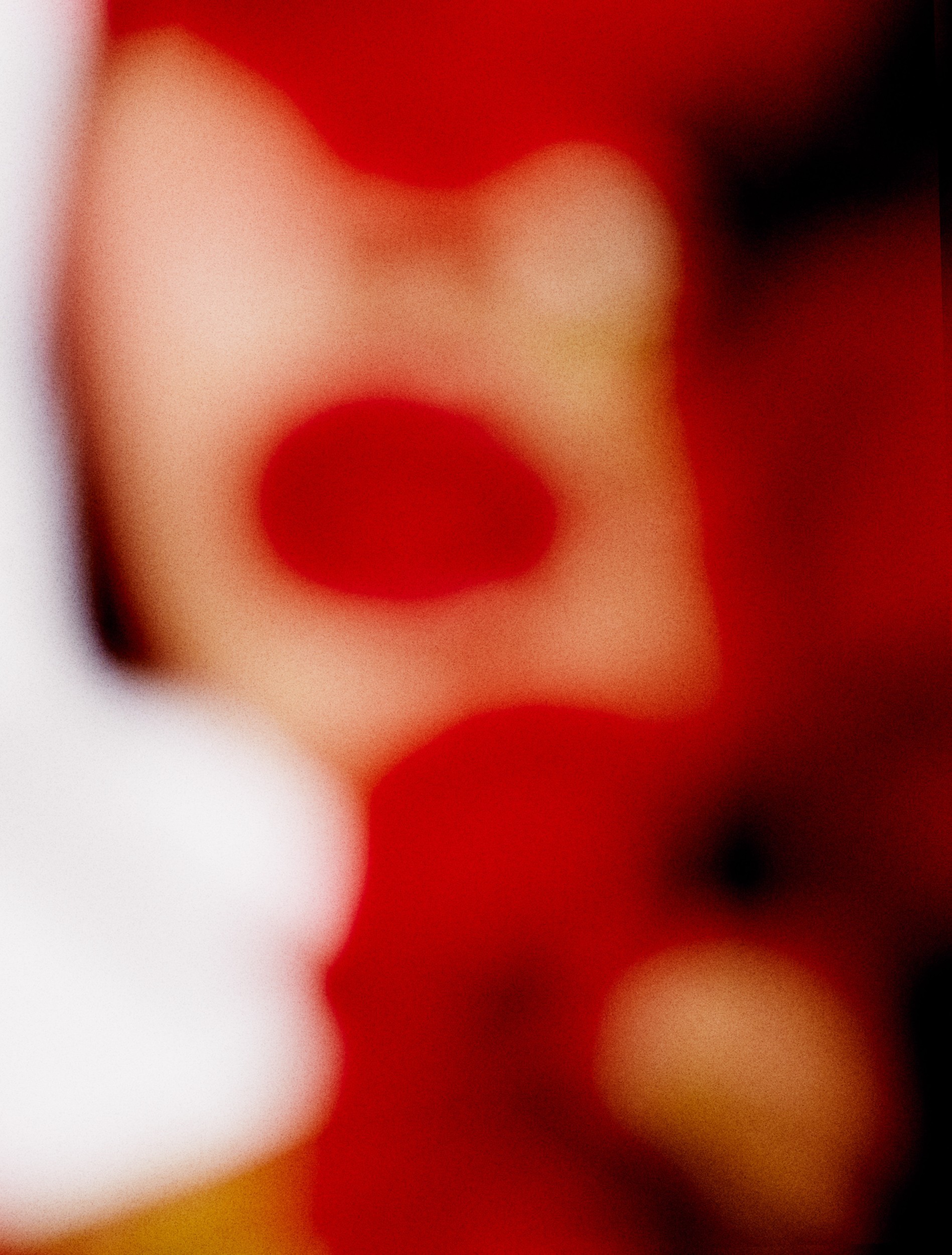 rouje_velours_sophie_236708.jpg
