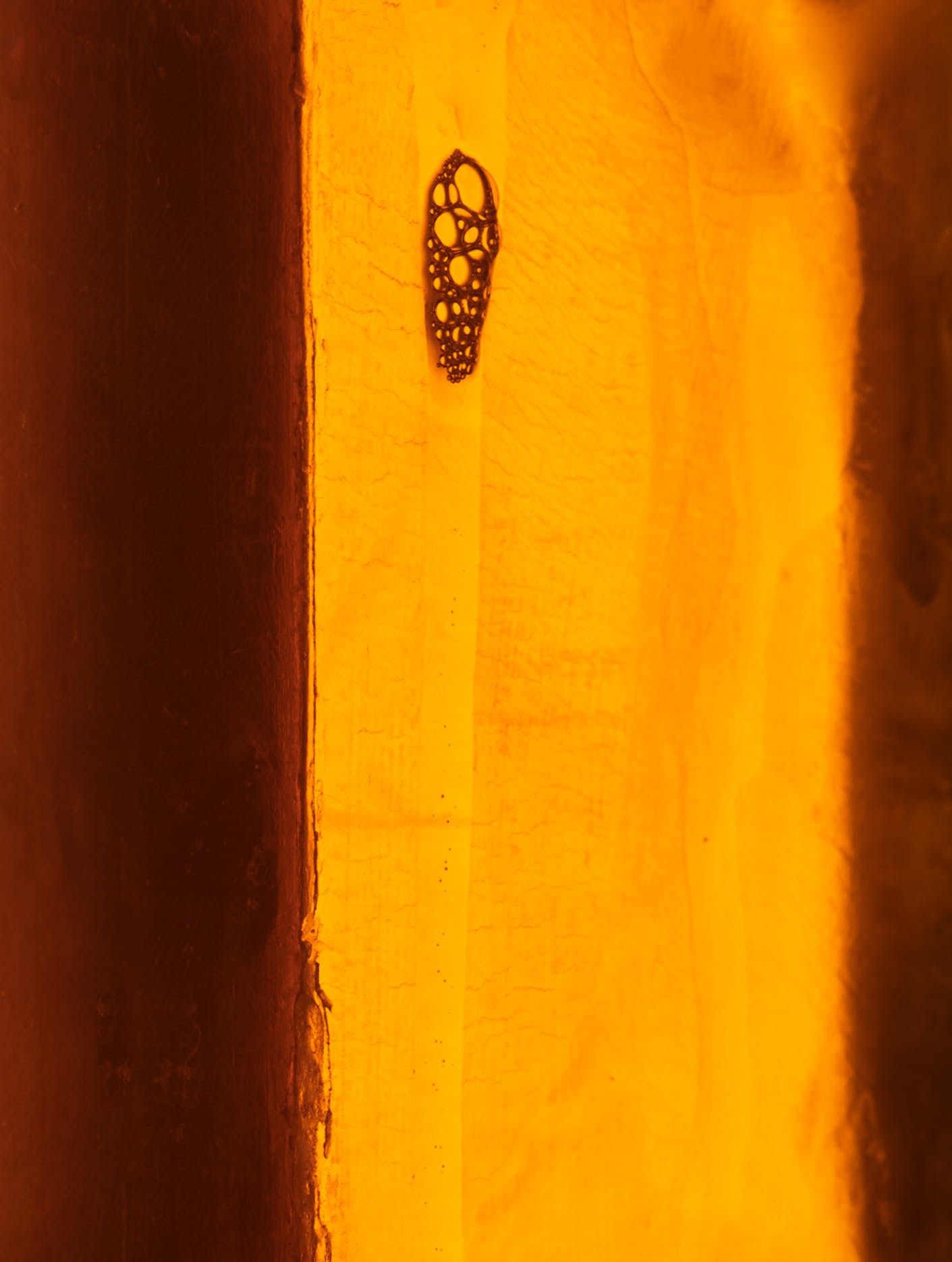 nature_morte_test_092036018.jpg