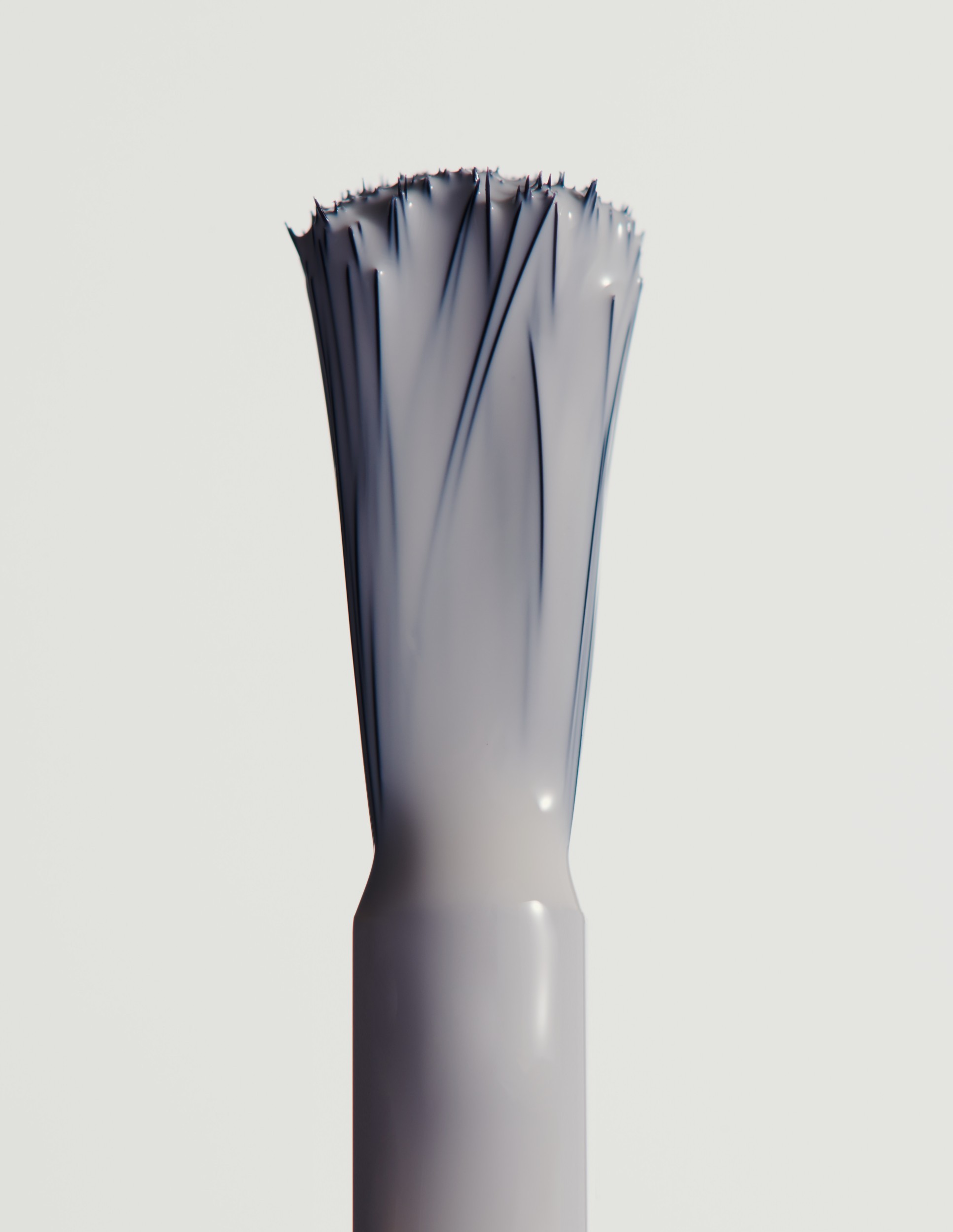 naturemortes_022022206916.jpg