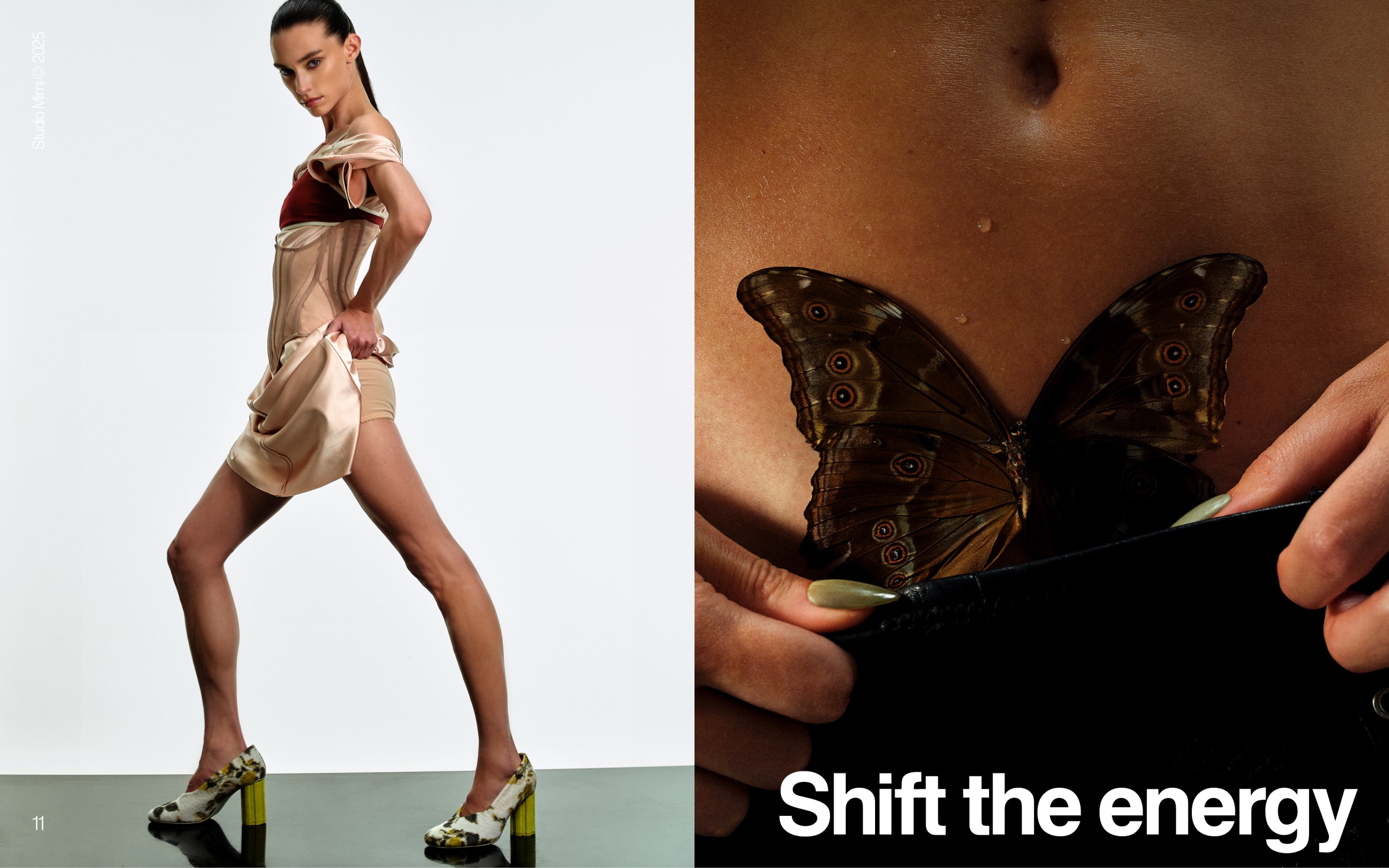 wellness056.png
