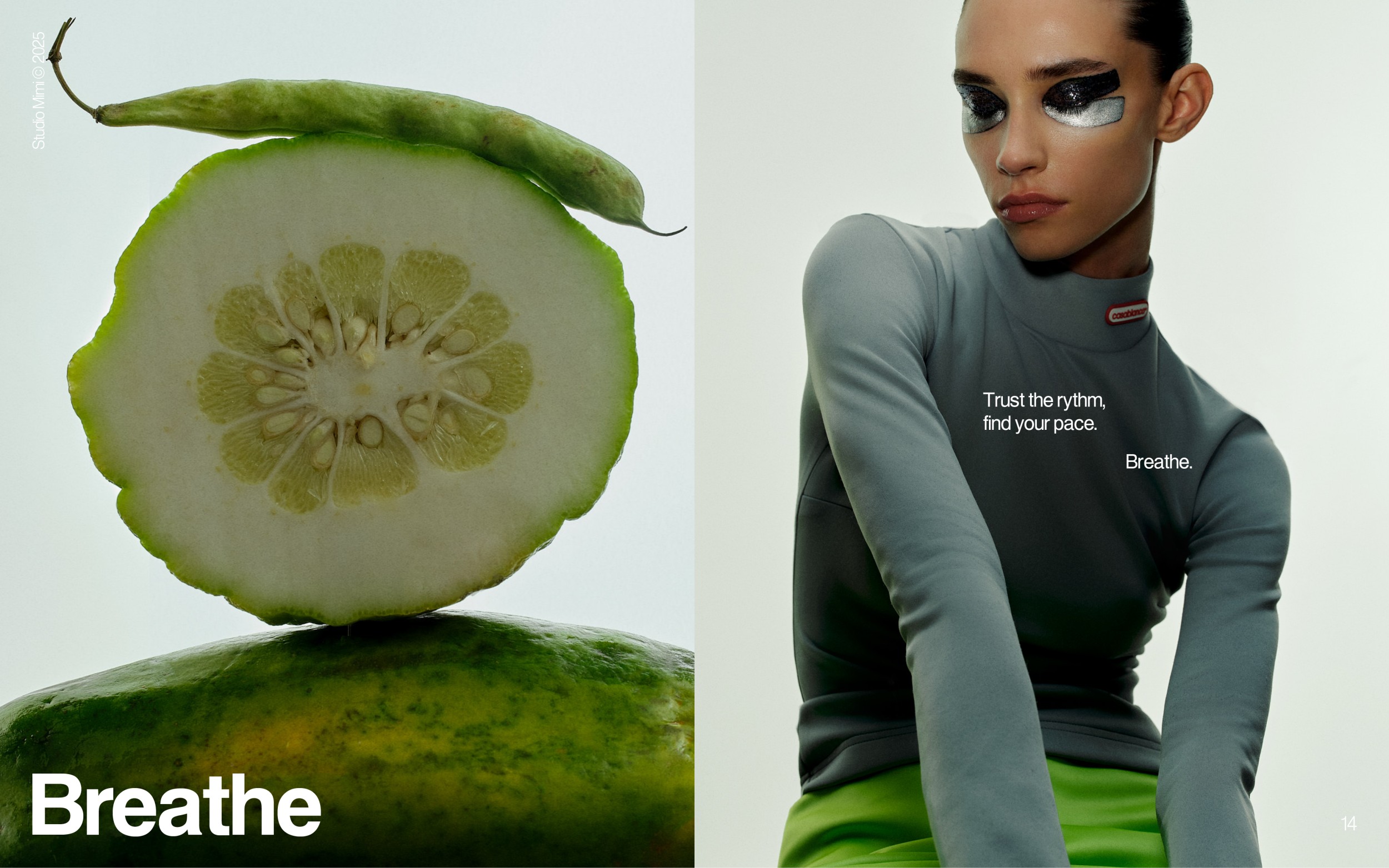 wellness057.png