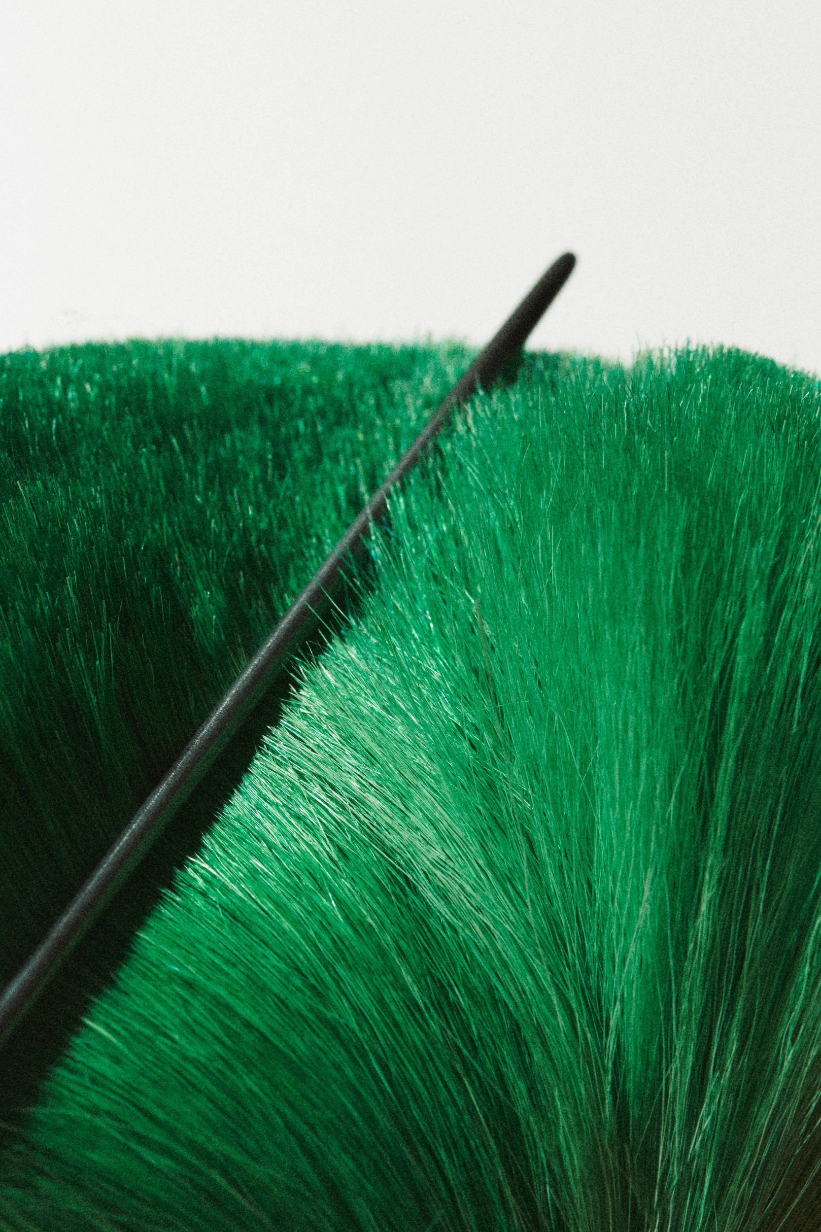 vogue_0124_zoekovacs42122.jpg